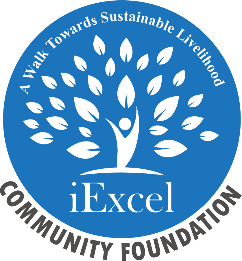 iExcel Logo